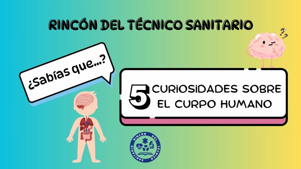 5 curiosidades sobre el cuerpo humano