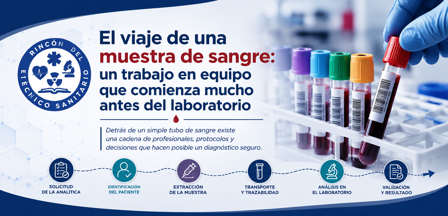 El viaje de una muestra de sangre
